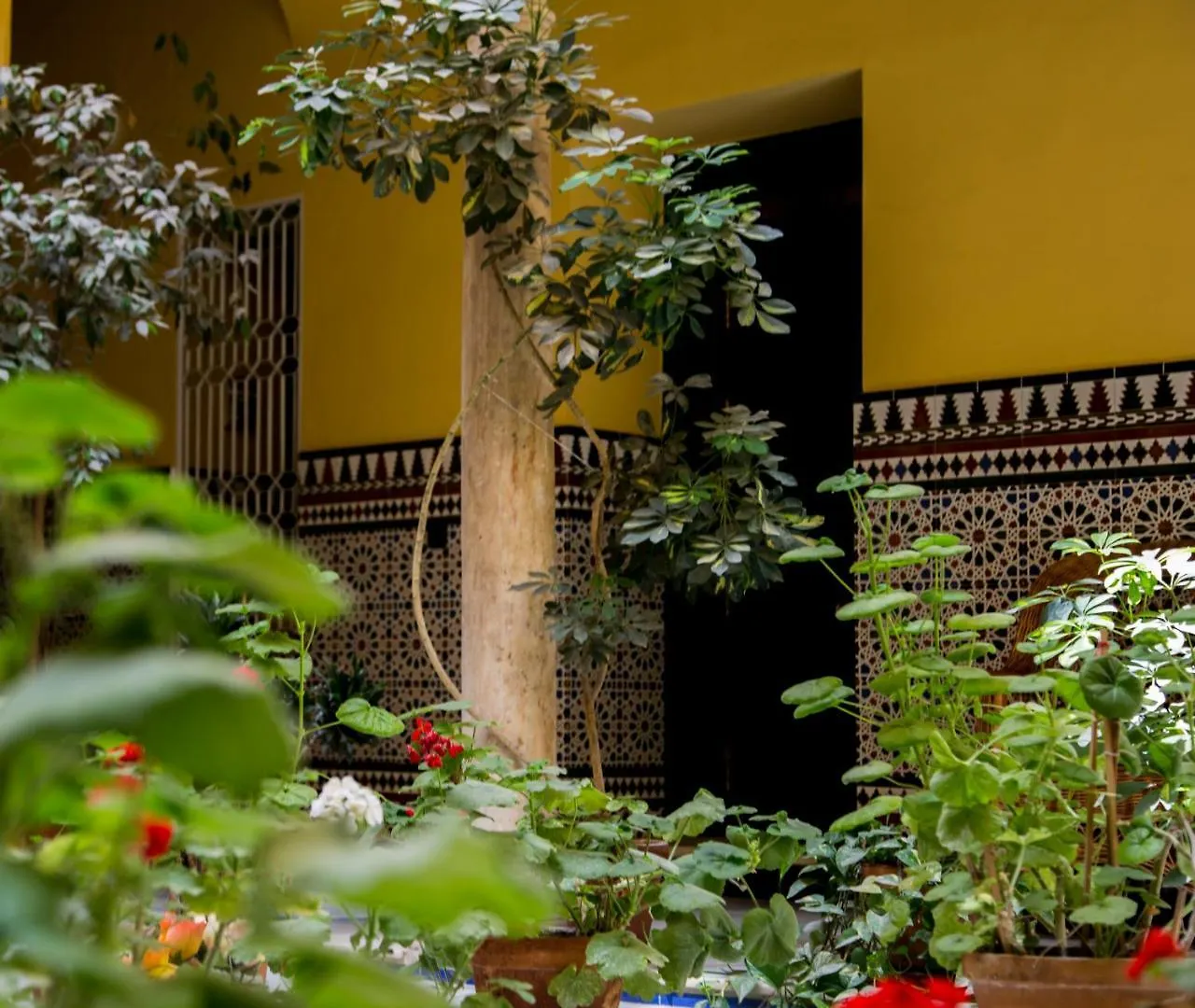 Alohamundi Conteros Apartment Seville 0*,